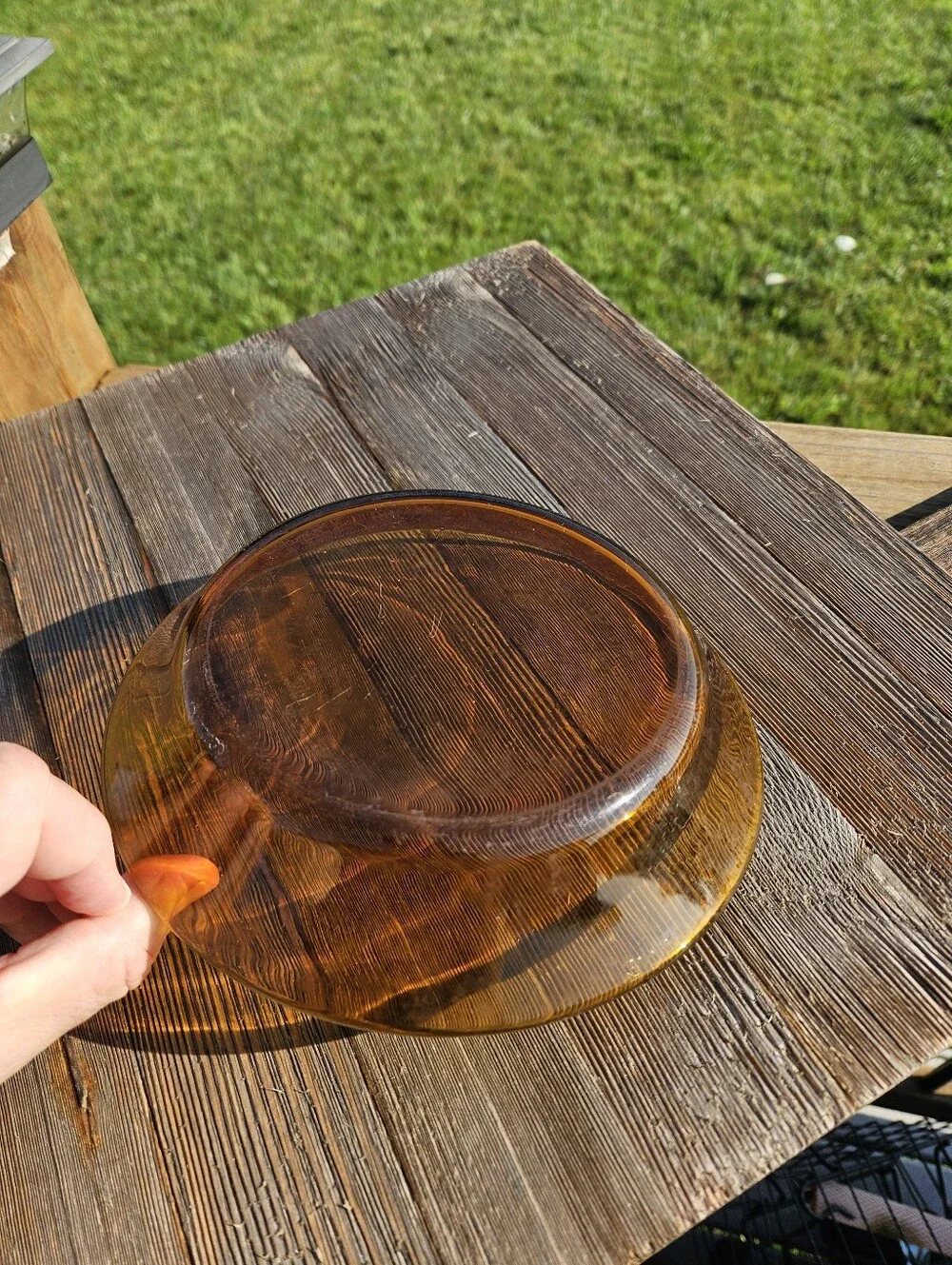 Amber glass plate with black rim  #amber